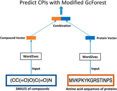 GcForest-based compound-protein interaction prediction model and its application in discovering small-molecule drugs targeting CD47